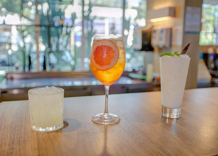里約熱內盧宜必思巴拉達蒂茹卡酒店